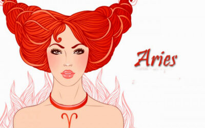 NUNCA LE DIGAS A ARIES