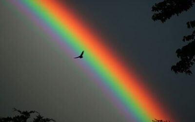 Arcoiris: Una historia Quechua