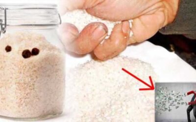 Ritual del arroz para empezar bien el año nuevo