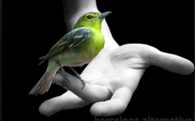 EL SIGNIFICADO SECRETO DE LAS AVES