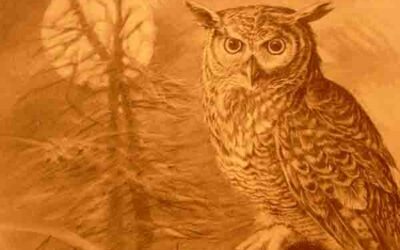 Las Aves Sagradas de los Celtas