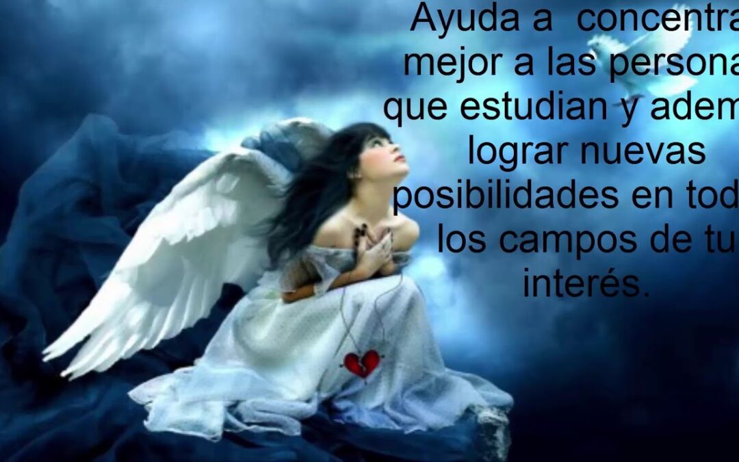 Ángel de Capricornio