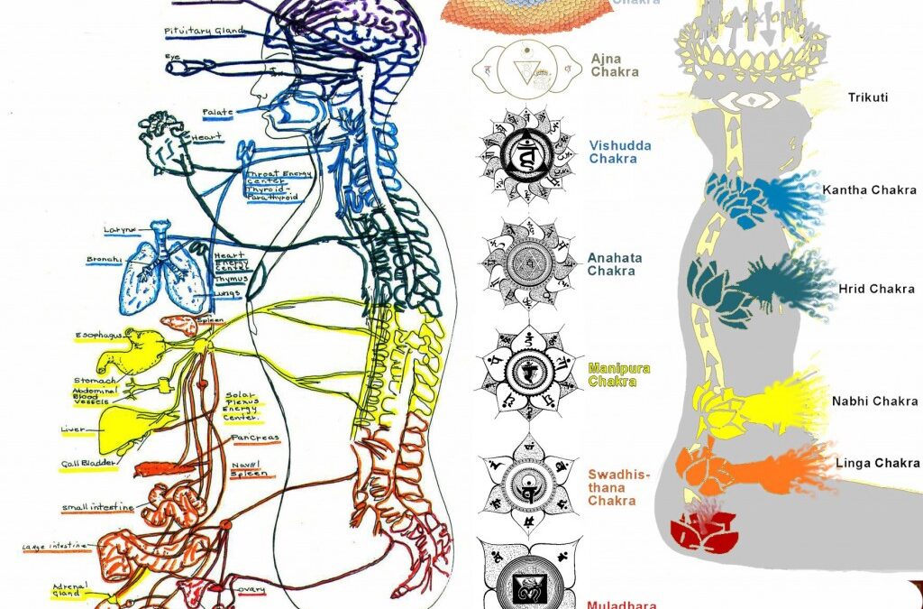 DIAGNÓSTICA TUS CHAKRAS