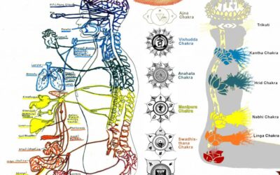 DIAGNÓSTICA TUS CHAKRAS