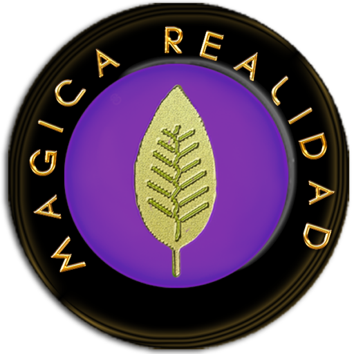 Logo Mágica Realidad