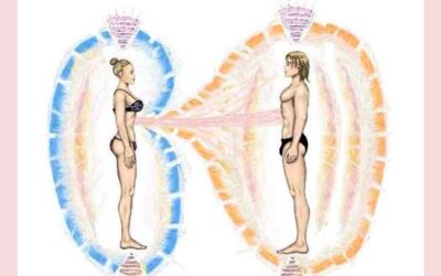4 NIVELES DE RELACIONES