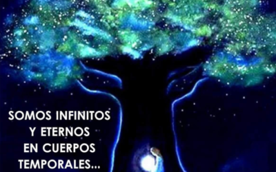 Nada termina, sólo se transforma
