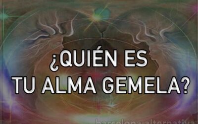 COMO RECONOCER MI ALMA GEMELA