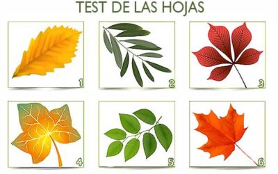 TEST DE LAS HOJAS