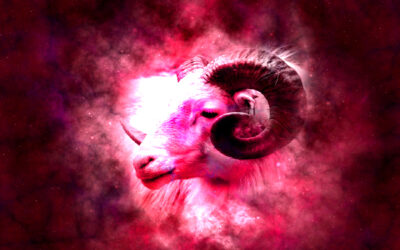 ANALIZANDO AL HOMBRE ARIES