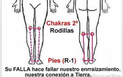 Chakras secundarios o menores