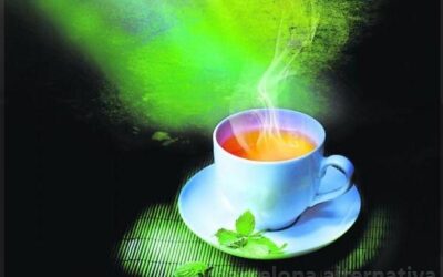 10 INFUSIONES MÁGICAS QUE CURAN