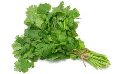 PEREJIL MÁGICO (RECETA DE LA ABUELA)