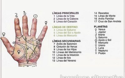 ¿CÓMO SE LEE EL TIEMPO EN LAS LÍNEAS DE LA MANO?