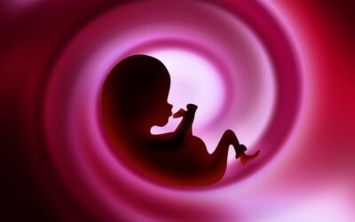 LUNA CRECIENTE AMOR DIFERENTE, LUNA MENGUANTE AMOR SEMEJANTE