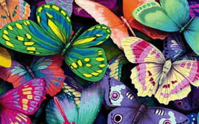 Lo que vienen a anunciar las mariposas