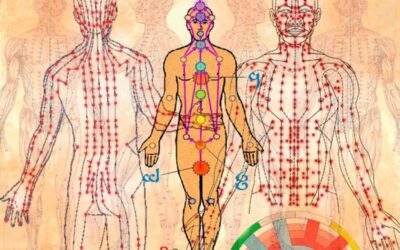 CHAKRAS MENORES