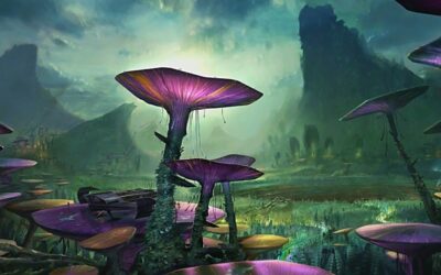 PLANTAS Y PLANETAS: PODEROSAS RECETAS