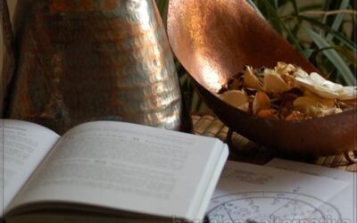 LAS 10 MEJORES PROFESIONES PARA LOS SIGNOS DE CANGREJO