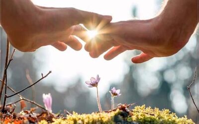 REIKI: LA SANACIÓN A DISTANCIA
