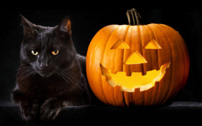 Ritual de Samhain 31 Octubre