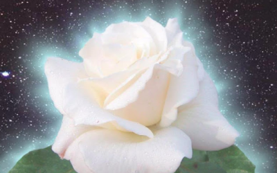 Ritual de protección de las rosas blancas