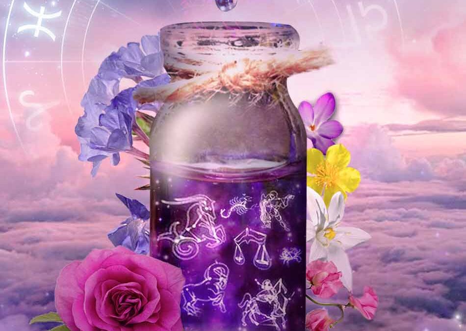 Los signos del zodiaco y las flores de Bach