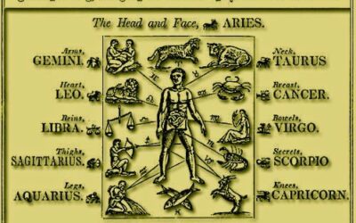 LOS SIGNOS Y LAS PARTES DEL CUERPO