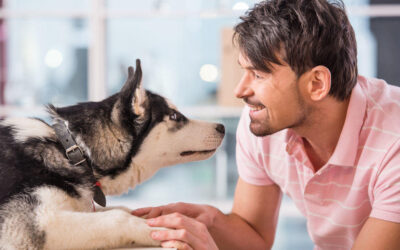LA COMUNICACIÓN CON ANIMALES