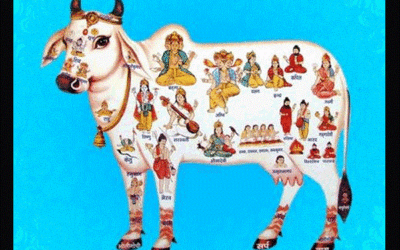 La VACA, un símbolo de muchas culturas